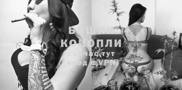 дживик Богородицк