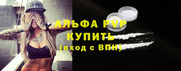 PSILOCYBIN Богородск