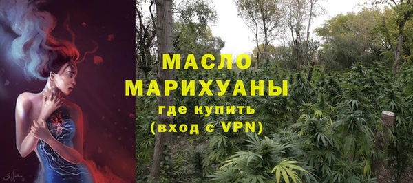 дживик Богородицк