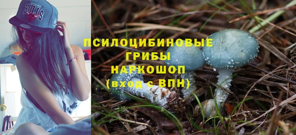 дживик Богородицк