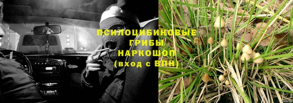 PSILOCYBIN Богородск