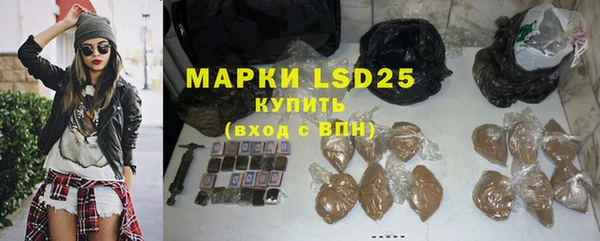 дживик Богородицк