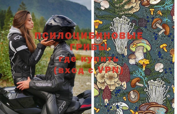 PSILOCYBIN Богородск