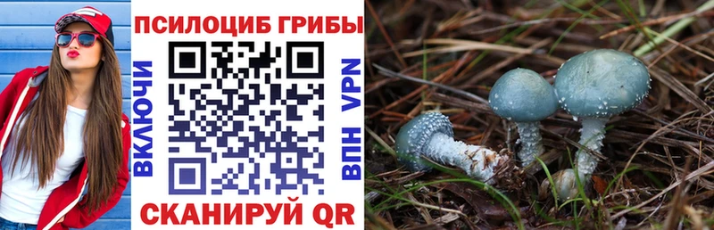Псилоцибиновые грибы ЛСД сколько стоит Давлеканово